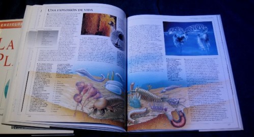 TOMOS SUELTOS ENCICLOPEDIA DE LA CIENCIA 005